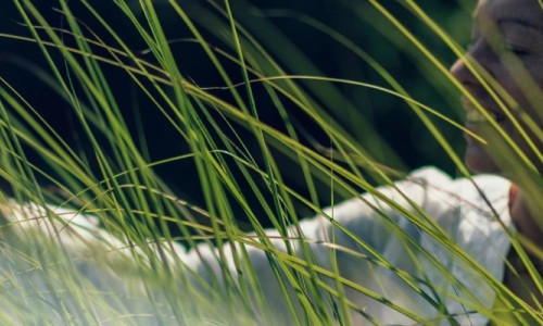 Bolluk Bereket İçin Aromaterapi: Enerjiyi Yükselten Uçucu Yağların Gücü