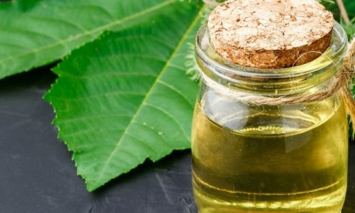 Hint Yağı Nasıl Kullanılır? Cilt ve Saç Bakımında Uygulama Yöntemleri