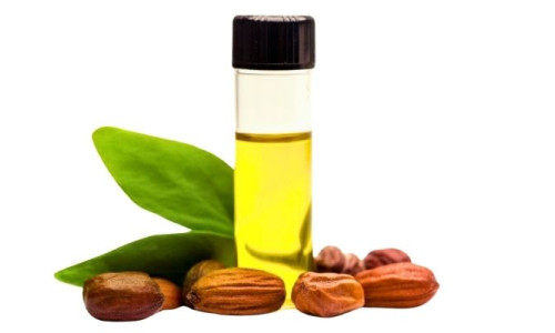 JOJOBA YAĞININ CİLDE FAYDALARI