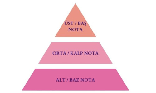 KOKU NOTALARI