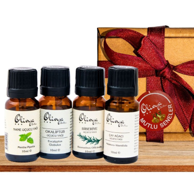 Buhurdanlık Yağları Paketi Fresh